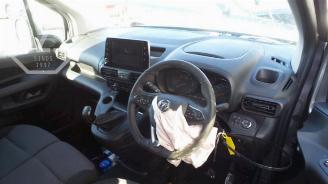 Opel Combo Combo Cargo, Van, 2018 1.6 CDTI 100 picture 5