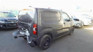 Opel Combo Combo Cargo, Van, 2018 1.6 CDTI 100 picture 3