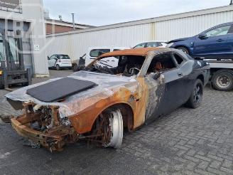 Sloopauto Dodge Challenger Challenger, Coupe, 2007 5.7 Hemi V8 2010/10