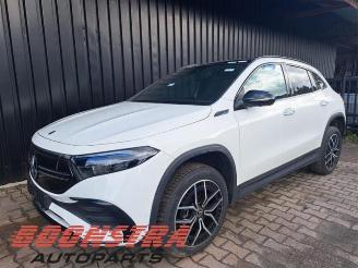 Mercedes EQA EQA (N243), SUV, 2021 250 67 kWh picture 1