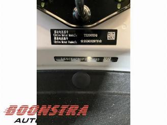 BYD Atto  picture 32
