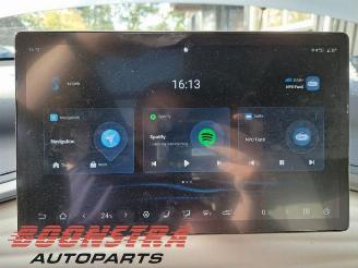 BYD Atto  picture 13