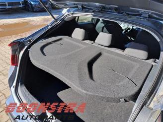 Toyota C-HR C-HR (X1,X5), SUV, 2016 1.8 16V Hybrid picture 18