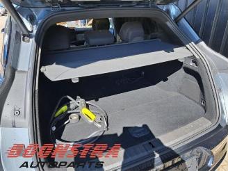 Zeekr X 7X, SUV, 2024 Privilege AWD picture 18