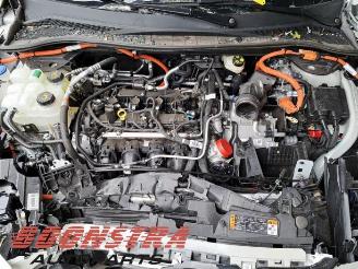 Ford Kuga Kuga III (DFK), SUV, 2019 2.5 PHEV 16V picture 29