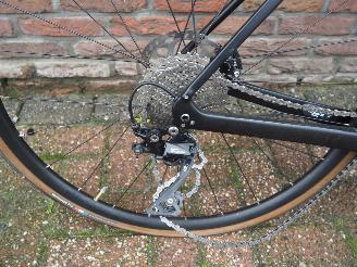 Trek  Domane picture 12