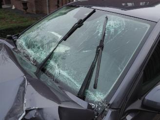 Volkswagen Polo 1.0 TSI Life DSG picture 13