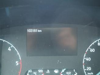 Ford Transit 2.0TDCI L4H3 Trend Motorschaden picture 32