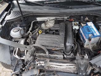 Volkswagen Tiguan 1.4 TSi Highline DSG picture 14