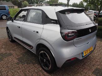 DongFeng Box Launch Edition 42 Kwh picture 6