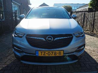 Opel Grandland 1.2 Turbo Innovation Automaat picture 2