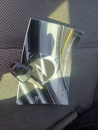 Opel Zafira 1.6 111 years Edition picture 11