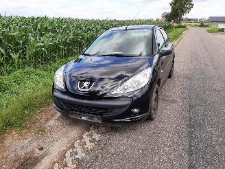 demontáž osobní automobily Peugeot 206+  2010/1