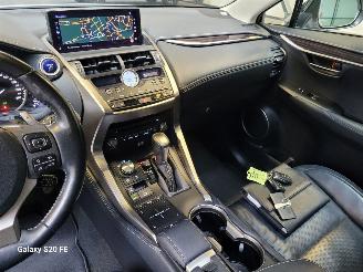 Lexus NX 300h Hybrid 2.5 145-KW Automaat AWD Panoramadak picture 21