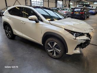 Lexus NX 300h Hybrid 2.5 145-KW Automaat AWD Panoramadak picture 3