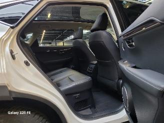 Lexus NX 300h Hybrid 2.5 145-KW Automaat AWD Panoramadak picture 15