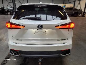 Lexus NX 300h Hybrid 2.5 145-KW Automaat AWD Panoramadak picture 14