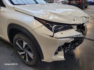 Lexus NX 300h Hybrid 2.5 145-KW Automaat AWD Panoramadak picture 5