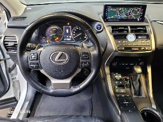 Lexus NX 300h Hybrid 2.5 145-KW Automaat AWD Panoramadak picture 19