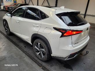 Lexus NX 300h Hybrid 2.5 145-KW Automaat AWD Panoramadak picture 2