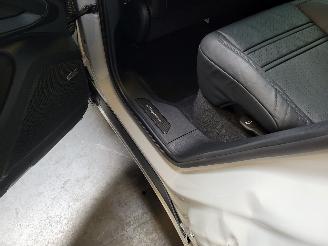 Porsche Cayenne Coupe 3.0 S e-Hybrid 346-KW Automaat picture 10