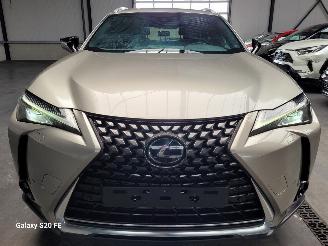 Lexus UX 250h Hybrid 2.0 112-KW Automaat Luxury picture 14