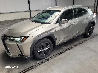 Unfallwagen Lexus UX 250h Hybrid 2.0 112-KW Automaat Luxury 2021/2