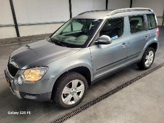 Avarii autoturisme Skoda Yeti 1.2 TSi 77-KW DSG 5drs 2013/6