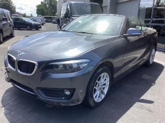 Vrakbiler auto BMW 2-serie 2 serie (F23), Cabrio, 2014 / 2021 218i 1.5 TwinPower Turbo 12V 2019/1