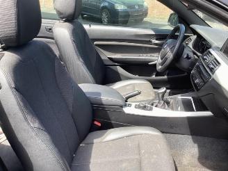 BMW 2-serie 2 serie (F23), Cabrio, 2014 / 2021 218i 1.5 TwinPower Turbo 12V picture 10