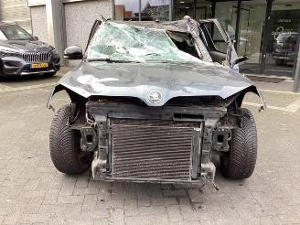 Skoda Yeti Yeti (5LAC), SUV, 2009 / 2017 1.4 TSI 16V picture 2