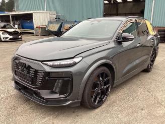 Audi Q6 Q6 e-tron (GFB), SUV, 2024 Performance 100 kWh picture 1