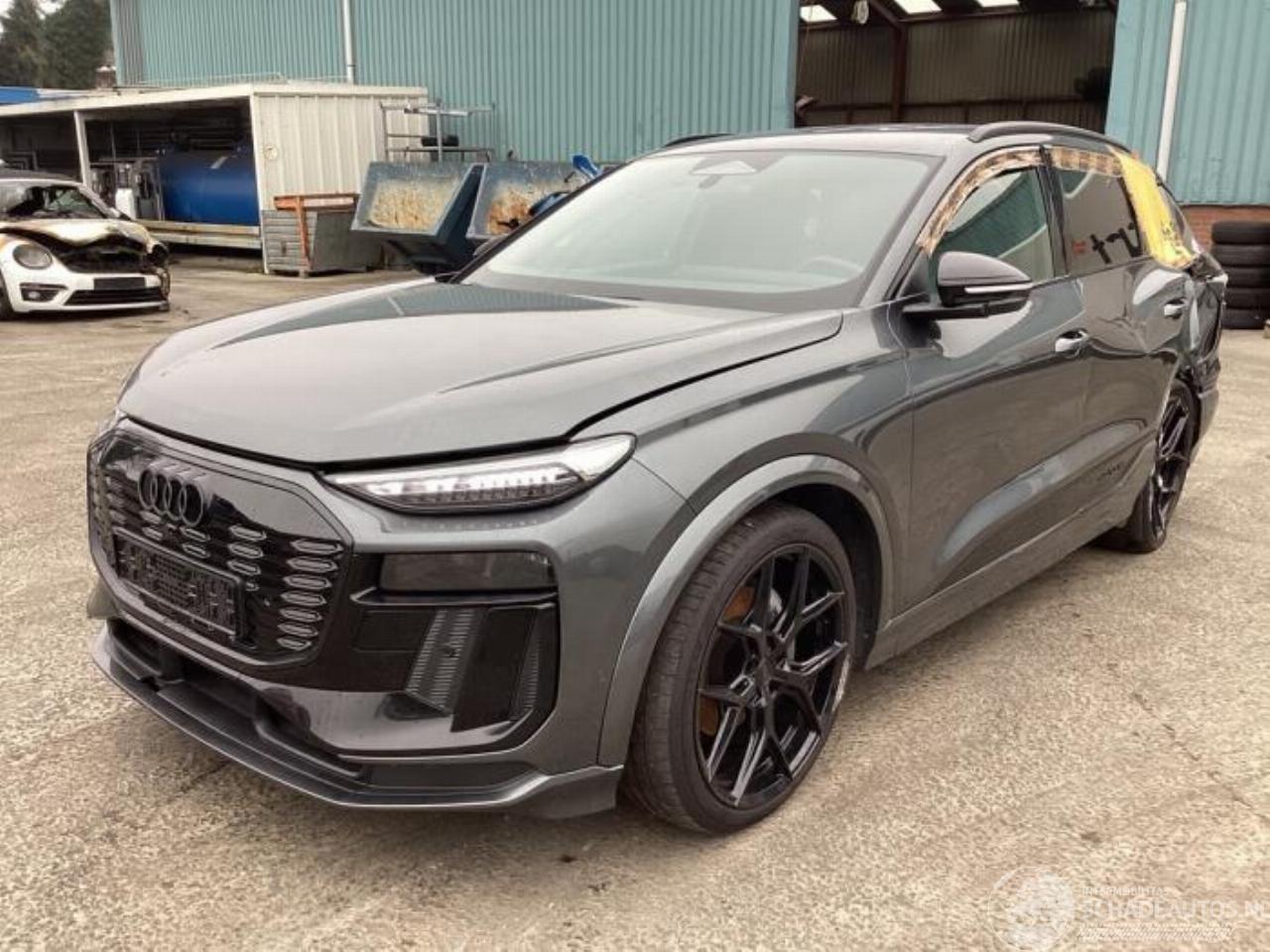 Audi Q6 Q6 e-tron (GFB), SUV, 2024 Performance 100 kWh