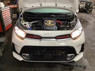 Kia Picanto Picanto (JA), Hatchback, 2017 1.0 DPi 12V picture 16