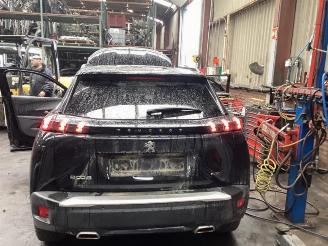 Peugeot 2008 2008 (UD/UK/UR/US/UX), MPV, 2019 1.2 VTi 12V PureTech 130 picture 14