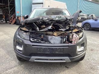 Land Rover Range Rover Evoque Range Rover Evoque (LVJ/LVS), SUV, 2011 / 2019 2.2 eD4 16V 5-drs. picture 2