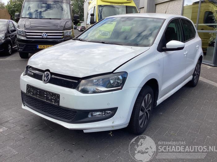 Volkswagen Polo Polo V (6R), Hatchback, 2009 / 2017 1.0 TSI 12V BlueMotion