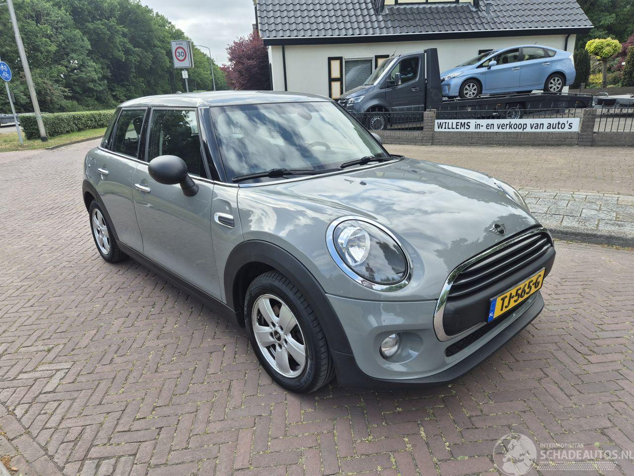Mini One 1.5 First