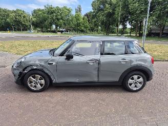Mini One 1.5 First picture 6