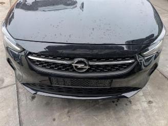 Opel Corsa Corsa F (UB/UH/UP), Hatchback 5-drs, 2019 1.2 Turbo 12V 100 picture 2