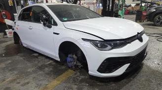 Volkswagen Golf Golf VIII (CD1), Hatchback, 2019 2.0 TSI R 16V 4Motion picture 2