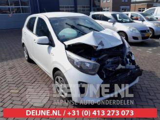 Sloopauto Kia Picanto Picanto (JA), Hatchback, 2017 1.0 12V 2018/2