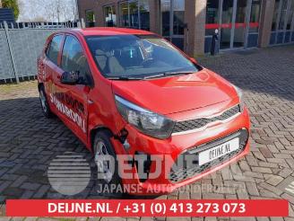 Autoverwertung Kia Picanto Picanto (JA), Hatchback, 2017 1.0 12V 2019/2