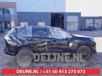 Toyota Rav-4 RAV4 (A5), Terreinwagen, 2018 2.5 Hybrid 16V picture 8