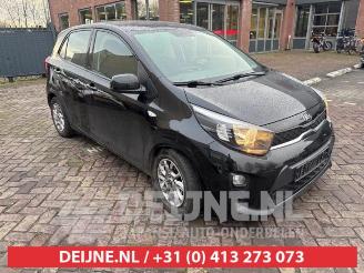 uszkodzony samochody osobowe Kia Picanto Picanto (JA), Hatchback, 2017 1.0 12V 2019/2