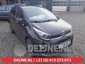 Unfallwagen Kia Picanto Picanto (JA), Hatchback, 2017 1.0 12V 2017/9