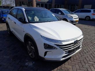 Avarii autoturisme Hyundai Nexo FCEV Plus Pack 2020/1