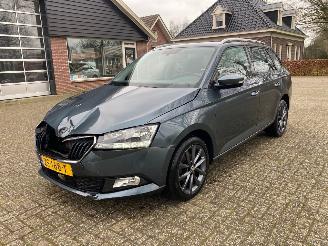 skadebil auto Skoda Fabia 1.0 Business Edition 2019/7