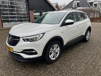 skadebil auto Opel Grandland 1.2 Turbo Business + 2019/3