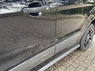Ford Transit Connect 1.6 tdci First Edition picture 14